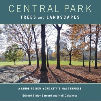 Central Park Trees And Landscapes A Guide To New York City S Central Park Trees And Landscapes