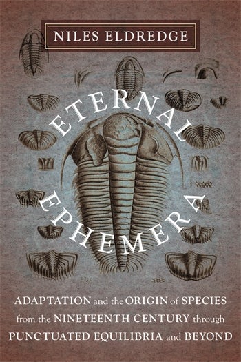 Eternal Ephemera Adaptation And The Origin Of Species