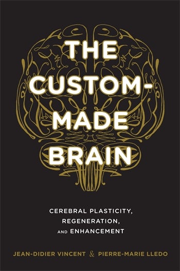 The Custom-Made Brain | Columbia University Press