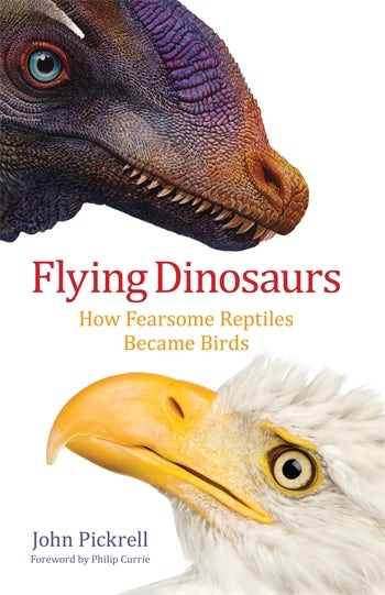 different types of flying dinosaurs