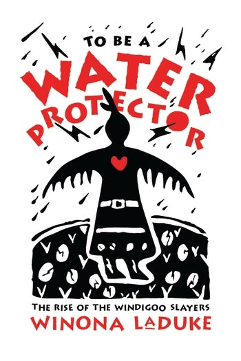 the water protectors book